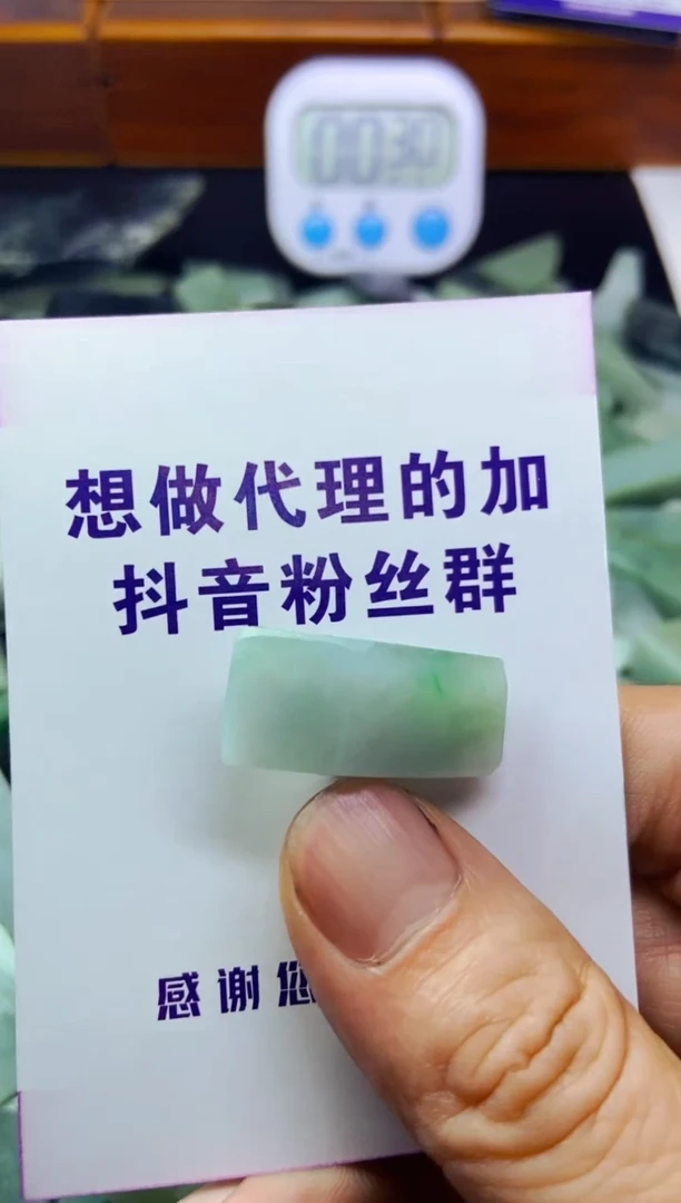 【闪购商品】翡翠颈饰未镶嵌料子