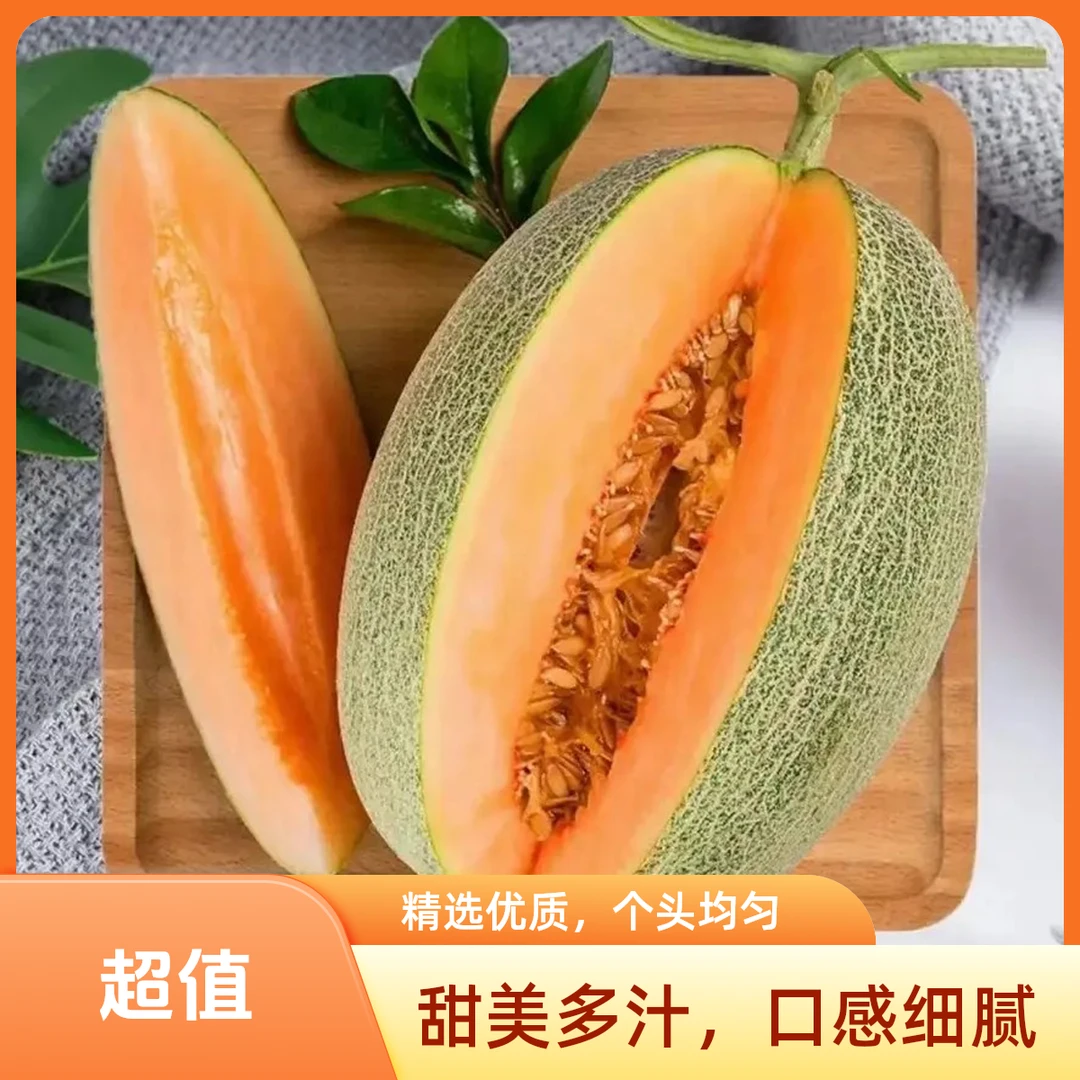哈密瓜整个1.25千克左右新鲜