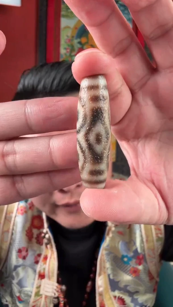 无非金属六眼龙鳞