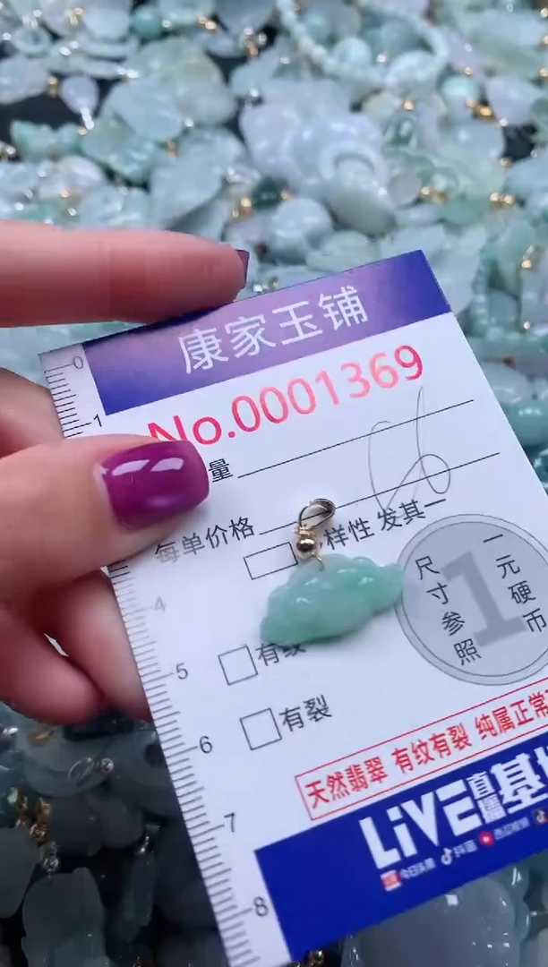 颈饰未镶嵌翡翠1369