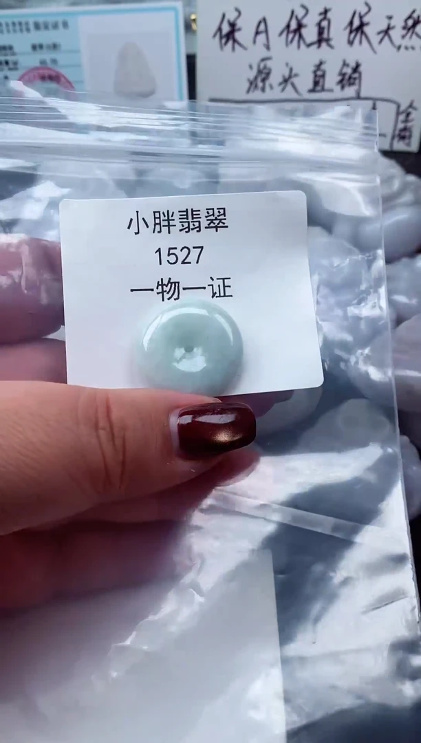 颈饰未镶嵌翡翠缅甸天然A货翡翠1527