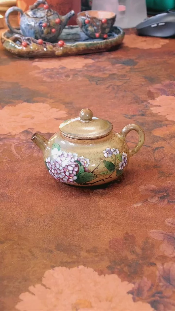 【闪购商品】壶‘’‘’‘’‘’‘