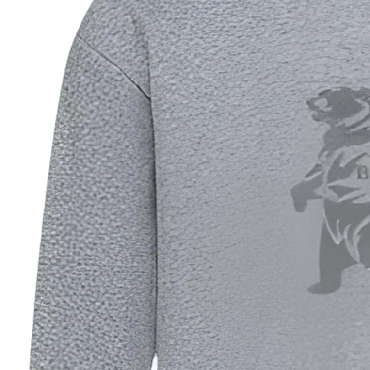 【水獭棉】贝肯熊卫衣24奢潮款1333长袖圆领秋冬时尚运动牙刷毛