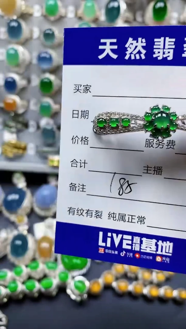 翡翠银S925镶嵌颈饰185