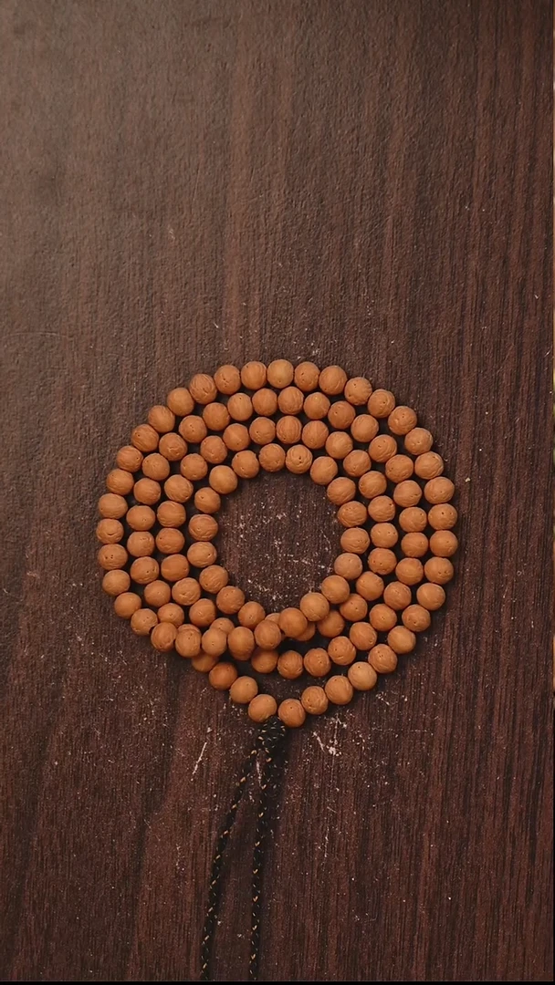 吊坠凤眼菩提S02酸枣核108