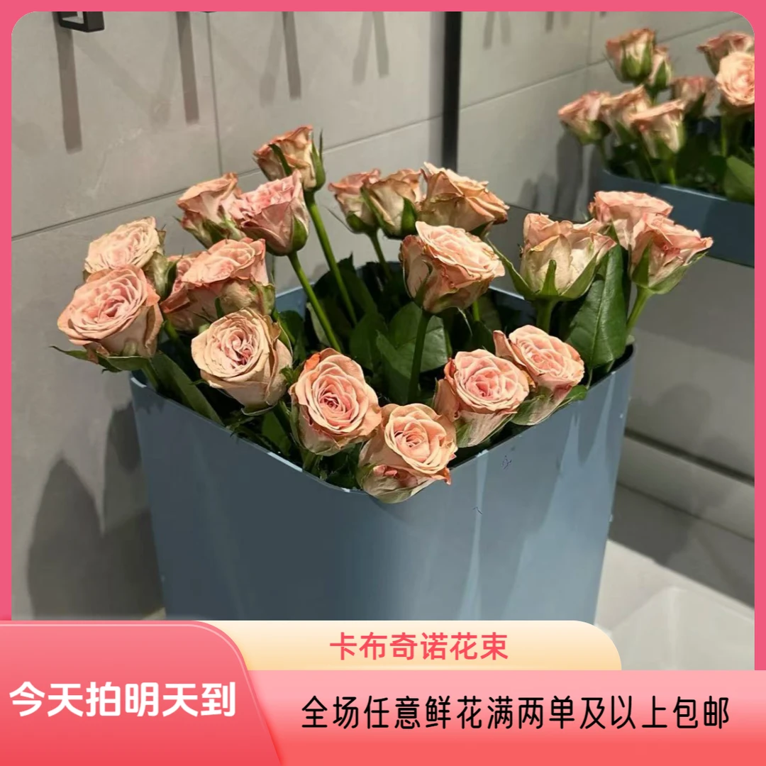 卡布奇诺10支鲜花家居花次日达