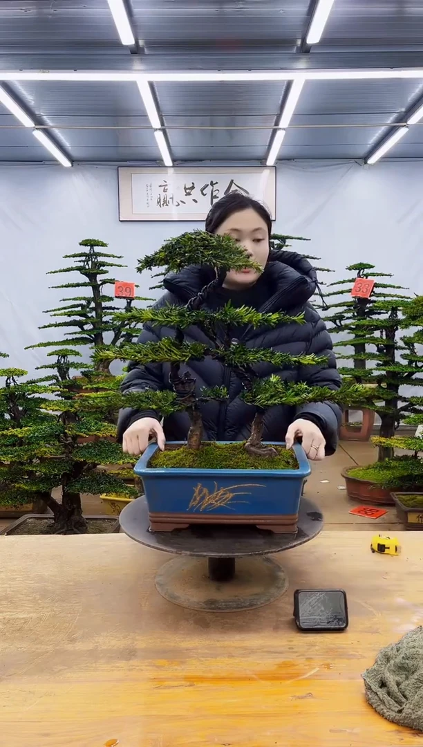 无花朵一物一拍·所见即所得