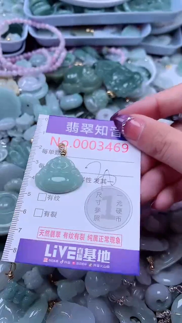翡翠未镶嵌吊坠(不含链)3469