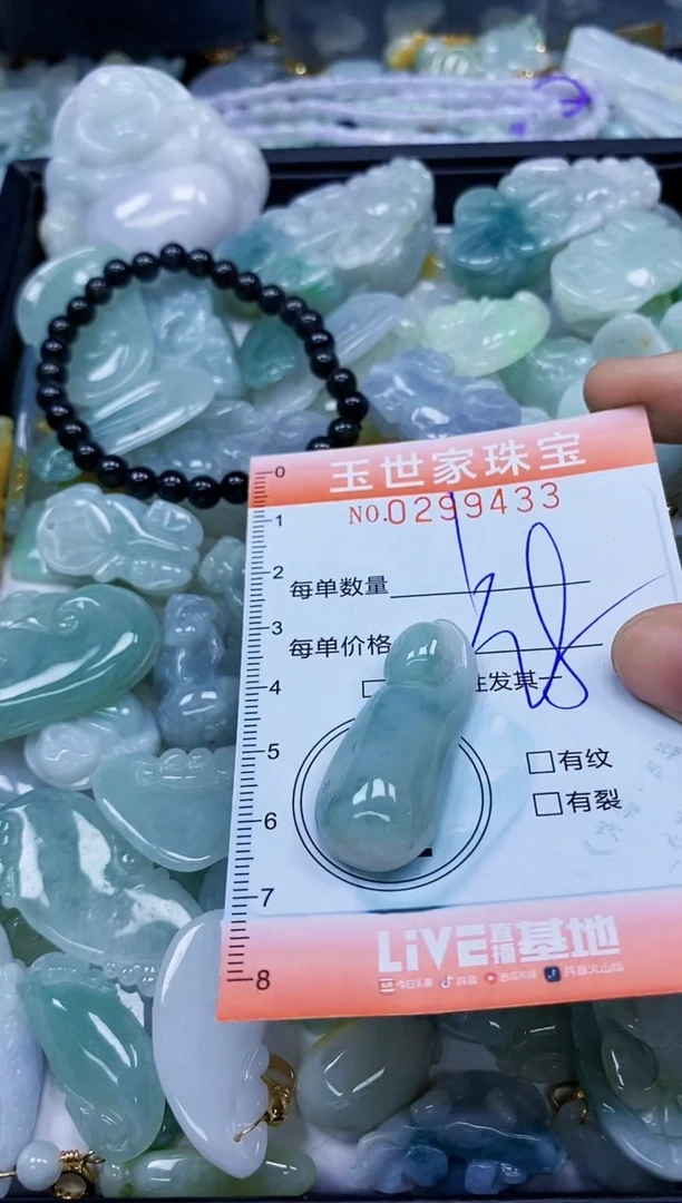 翡翠未镶嵌颈饰闪购0299433