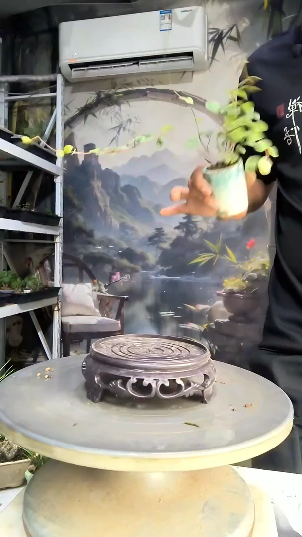闲***活中青园艺一物一拍19