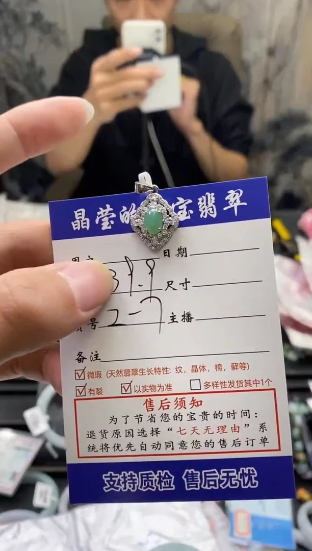 【闪购商品】翡翠颈饰银S925镶嵌天然A货翡翠27
