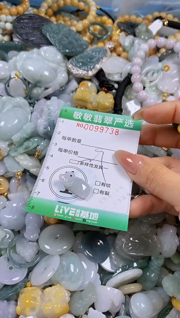 【闪购商品】翡翠颈饰未镶嵌闪购0099738