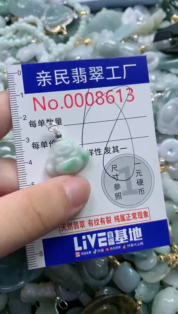 翡翠未镶嵌吊坠(不含链)8613