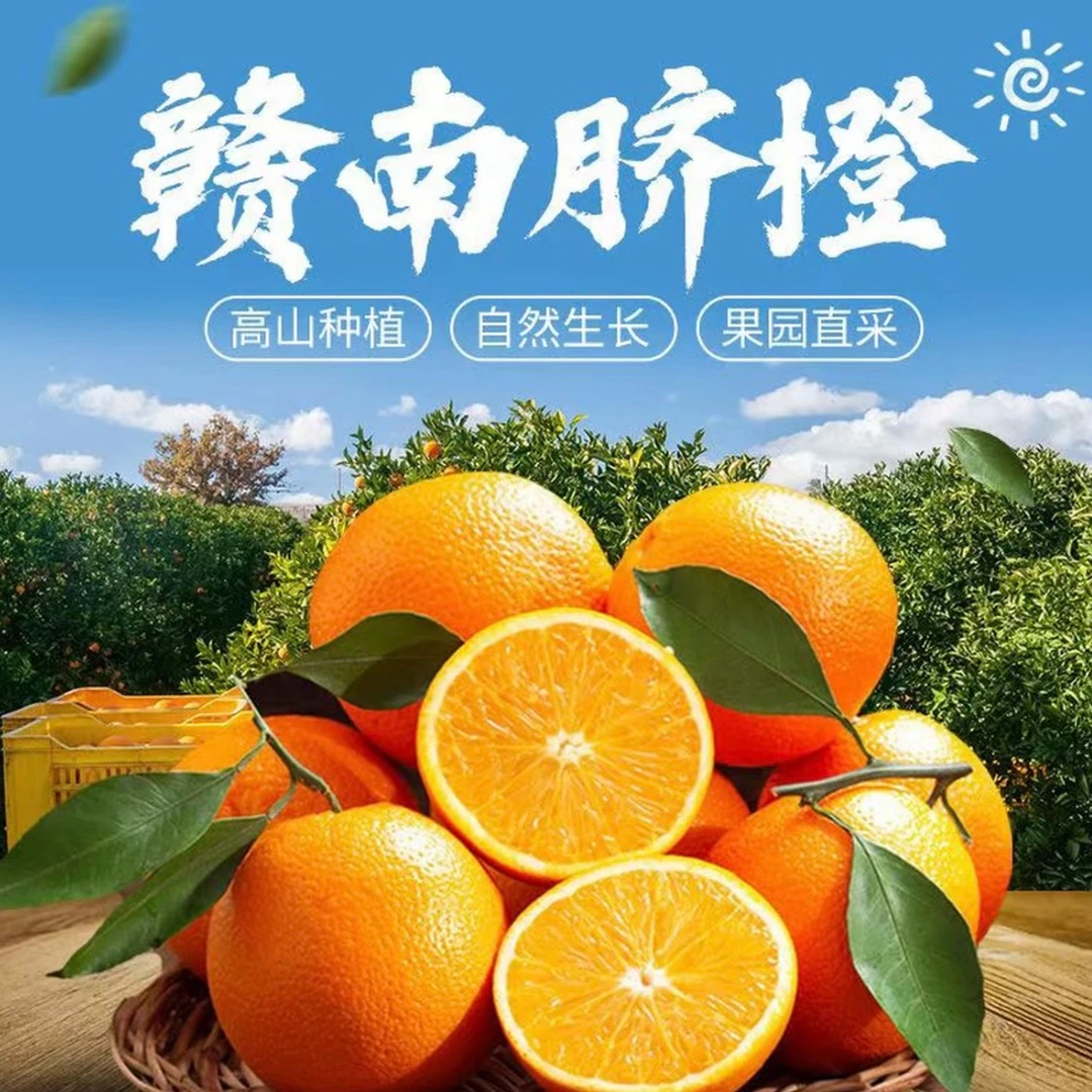 T正宗赣南脐橙橙子新鲜水果现采现发包邮5斤9斤装鲜甜多汁1211江西省