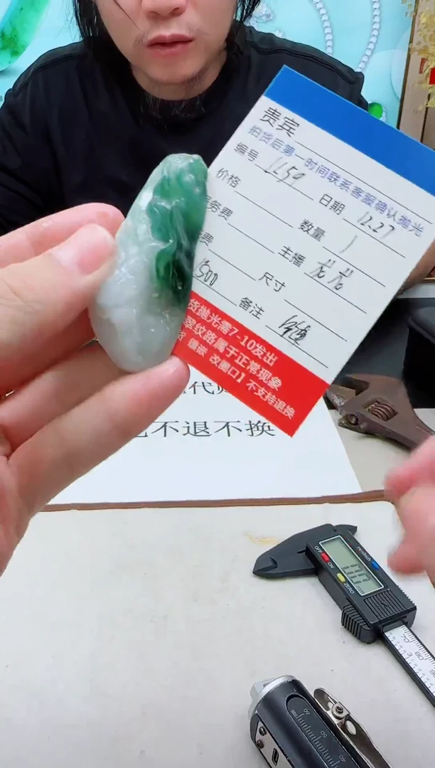 未镶嵌定制翡翠LL59翡翠吊坠赠珠链-多样性发其一