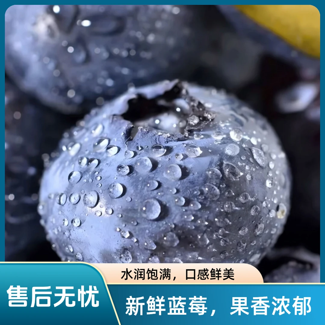 【云南花香蓝莓】15-18mm果径新鲜采摘  应季蓝莓  脆甜多汁125g/盒