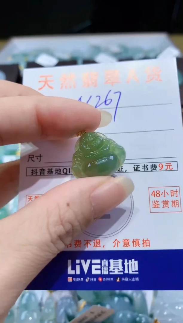 翡翠未镶嵌颈饰天然翡翠A货挂件