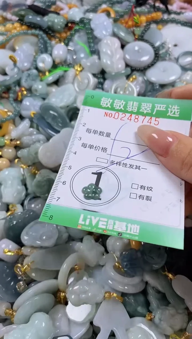 翡翠未镶嵌颈饰闪购0248745多样性发其一