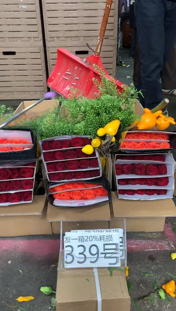 339号♥含20%耗损发一箱