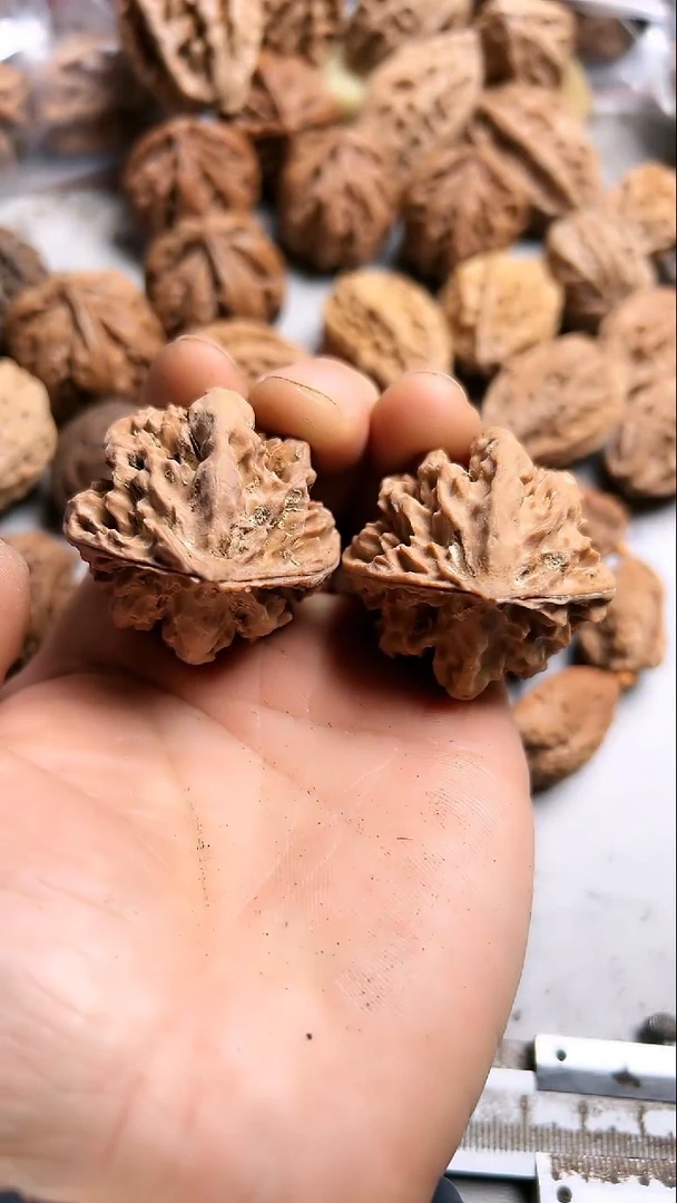 核桃东北野生大秋子6