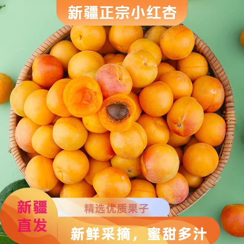 【新疆空运】正宗新疆阿克苏小红杏子四团吊干杏产地现摘甜蜜甜多汁