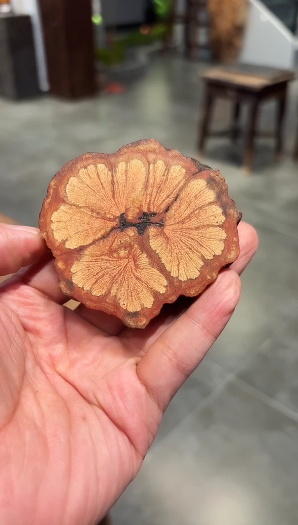 茶道配件茶道配件单个