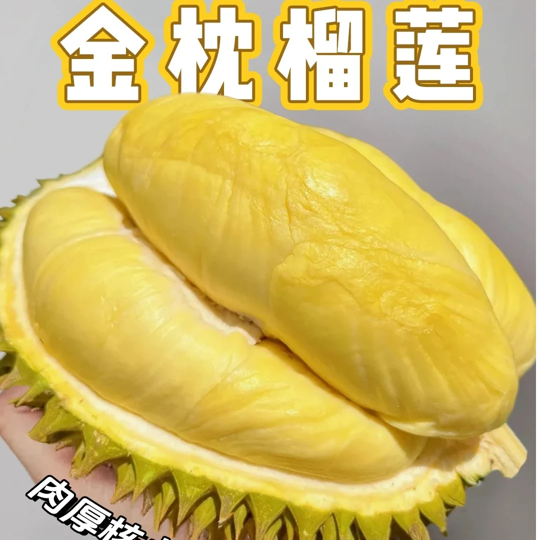 泰国金枕新鲜现榴莲  肉大核小  1斤果R  2斤果R金枕泰国