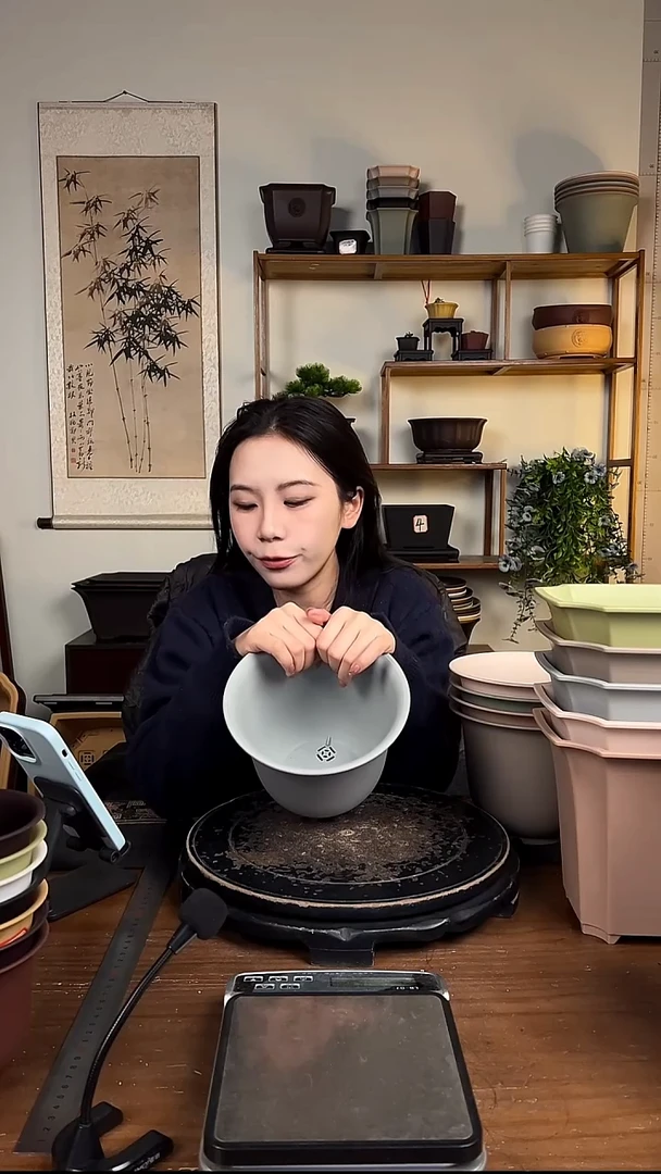 5只18口径金钟马卡龙色系