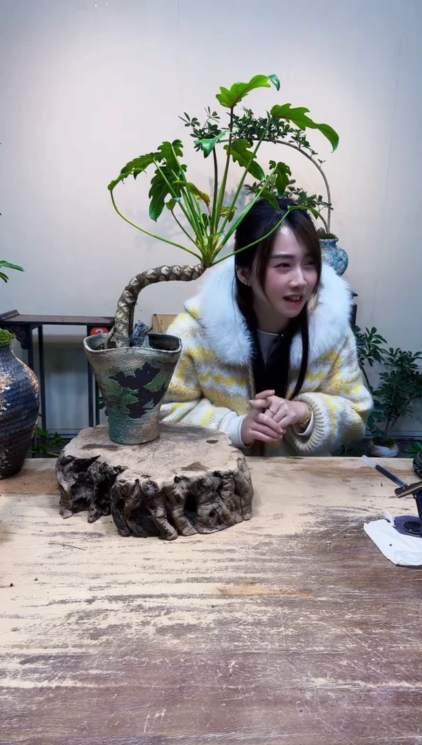 无花朵琚*～老朋友优惠价138