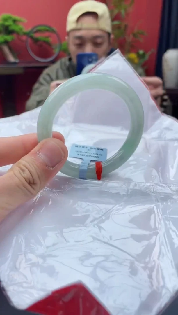 未镶嵌手镯翡翠9