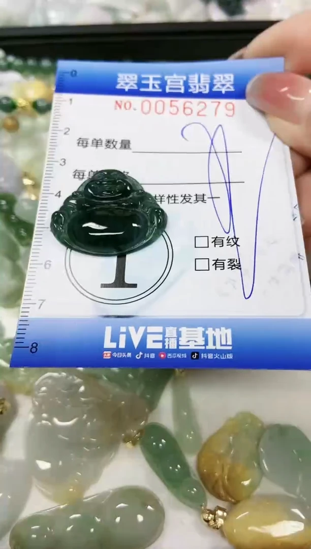 【闪购商品】翡翠颈饰未镶嵌闪购0056279