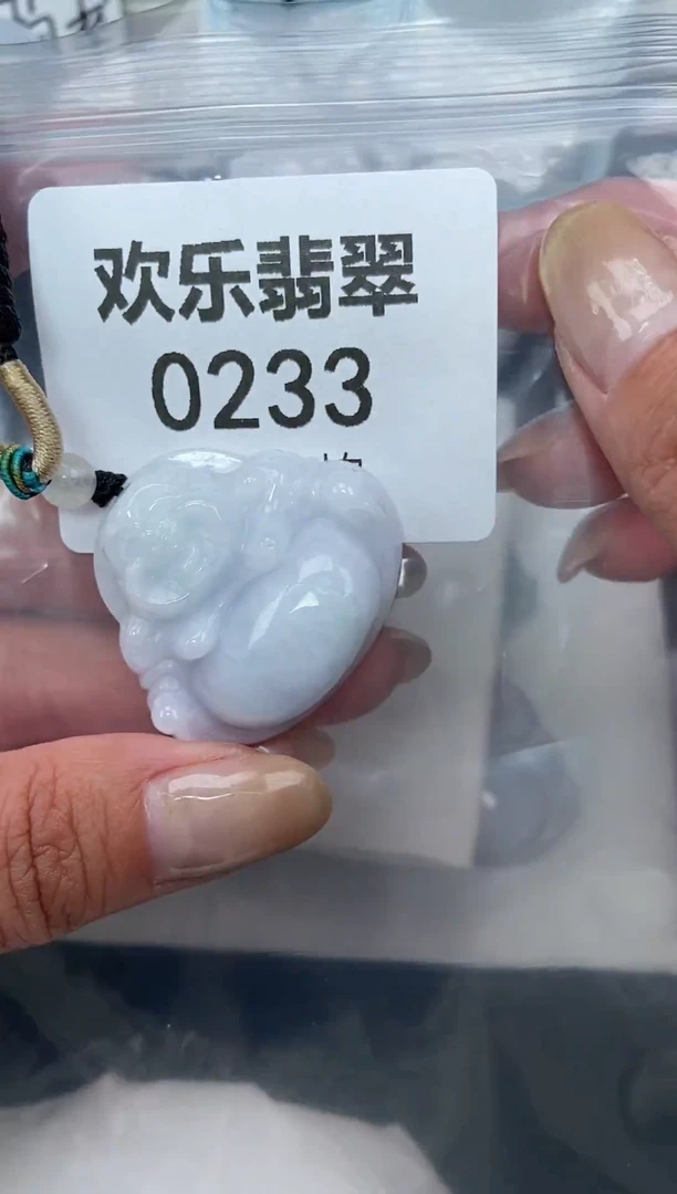 颈饰未镶嵌翡翠缅甸天然翡翠0233