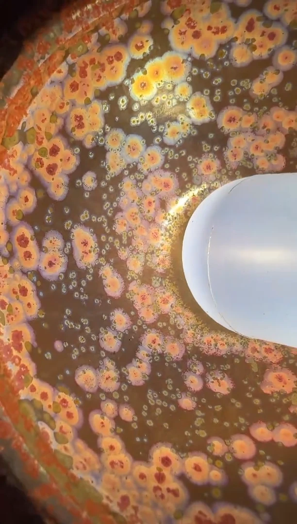 建窑建盏林后古窑刘友良精品分享14