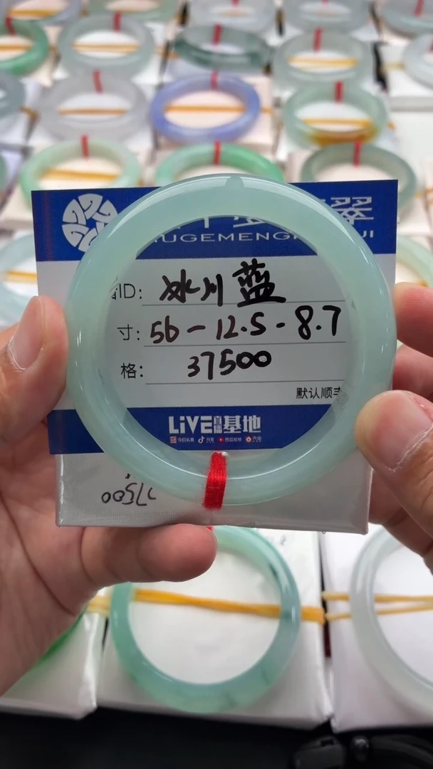 未镶嵌手镯翡翠冰川蓝 48小时鉴赏期