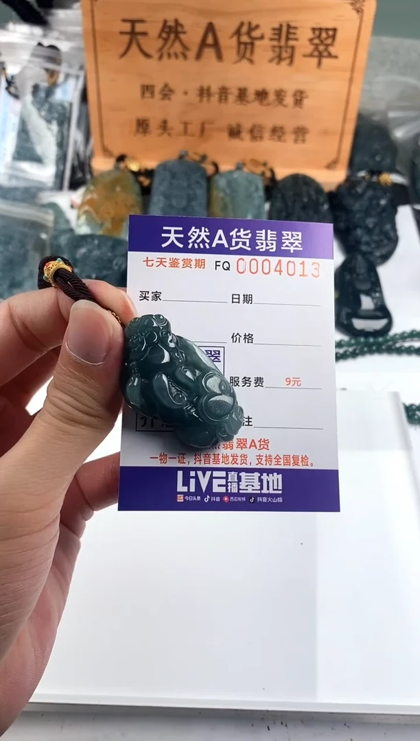 颈饰未镶嵌翡翠 多样性随机一件发货 貔貅38