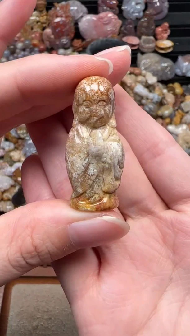 颈饰未镶嵌硅化珊瑚（珊瑚玉）058
