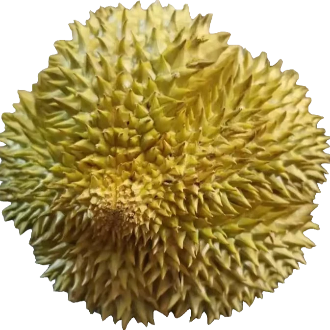 【榴莲小时达LXG】A果泰国金枕新鲜榴莲【果核小】2-10斤（默认开果）同城配送鲜榴莲榴莲同城配金枕泰国