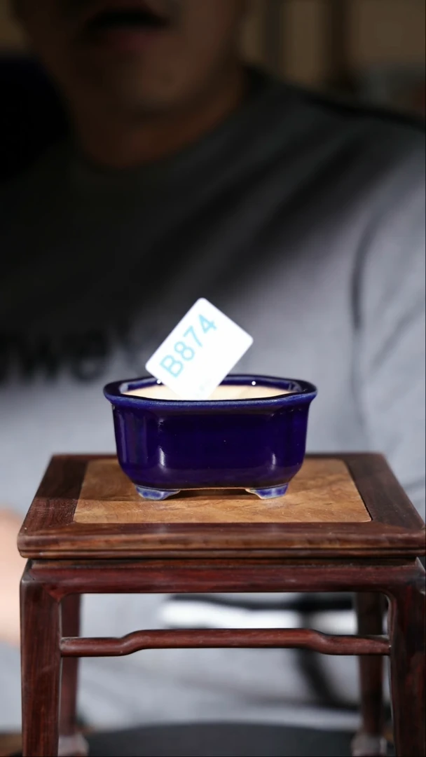 【闪购商品】红陶874