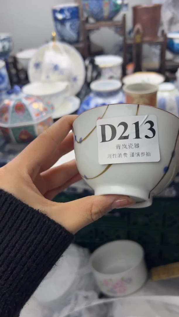 瓷片猫**?   D213