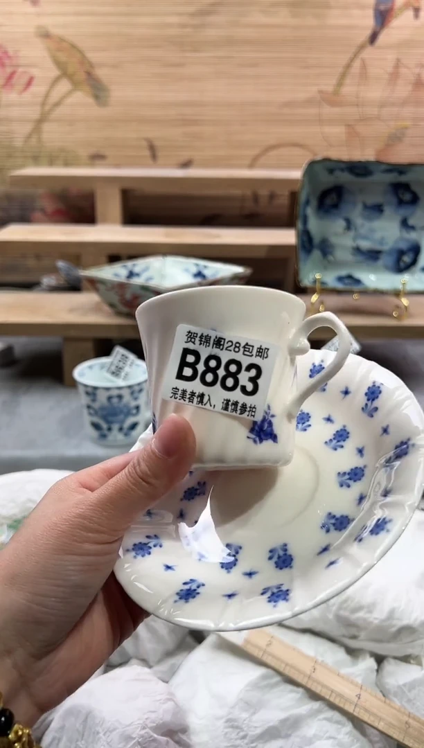【闪购商品】瓷片当天满28米包邮B883