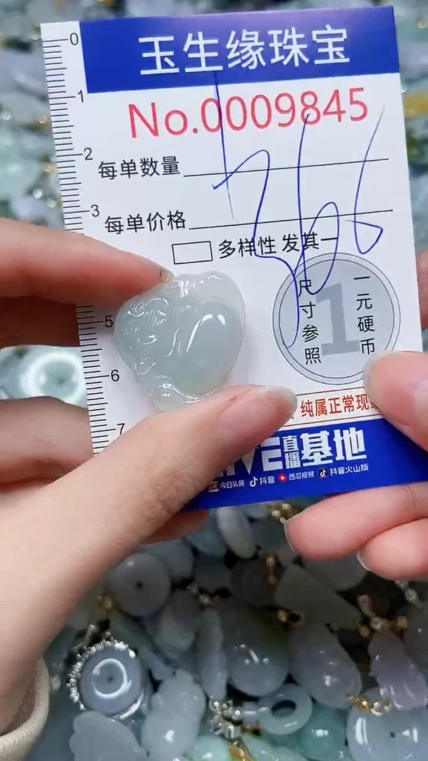 【闪购商品】翡翠颈饰未镶嵌闪购00009845