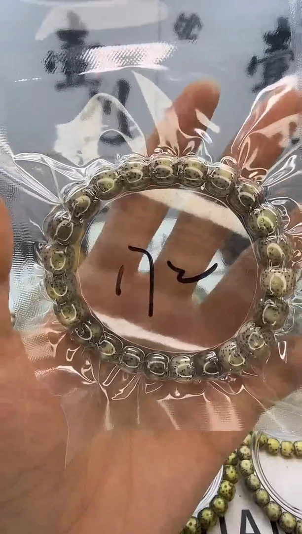 手串星月菩提10/9 冰糖 黄金瞳 同枝果