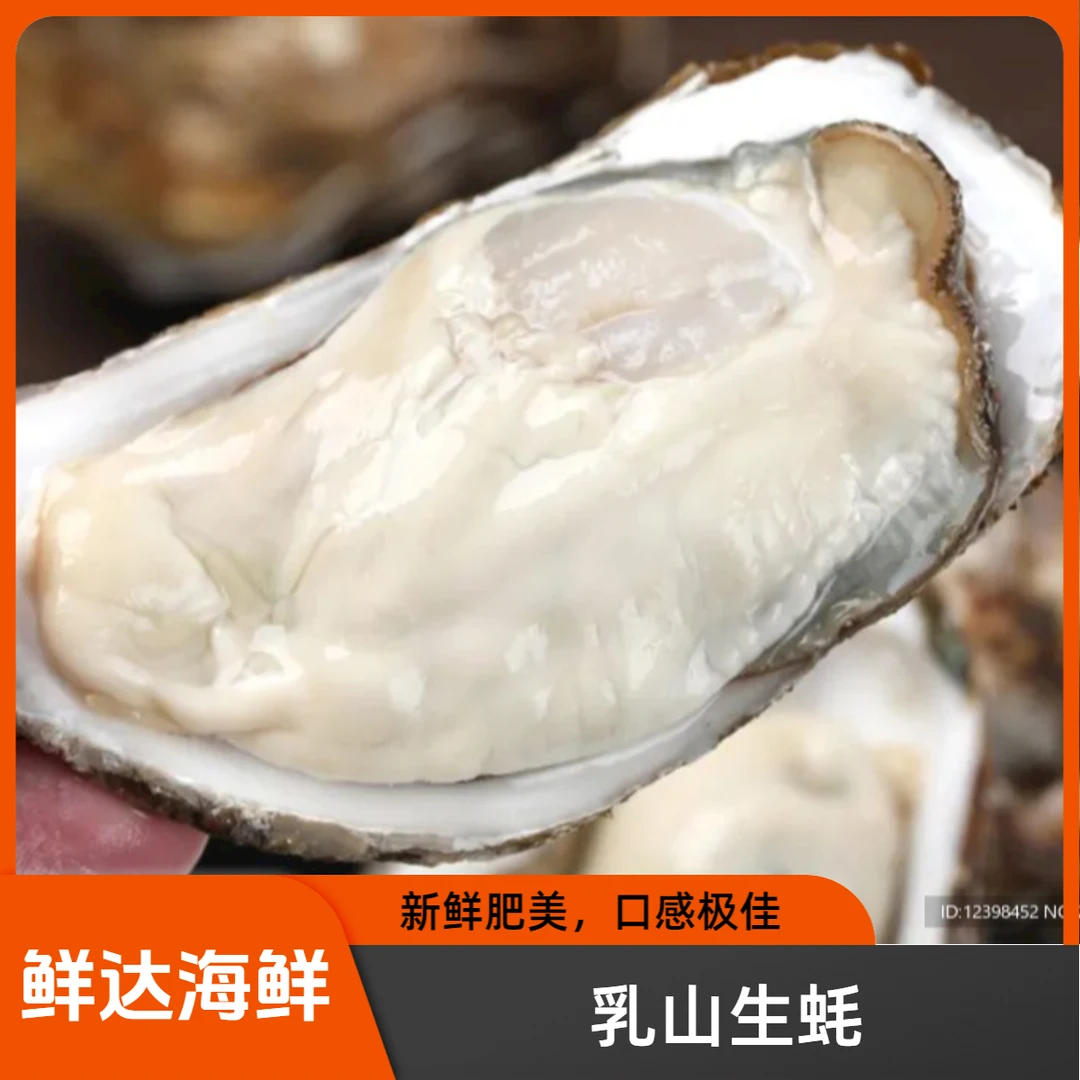 精品乳山生蚝3倍体10斤！！！