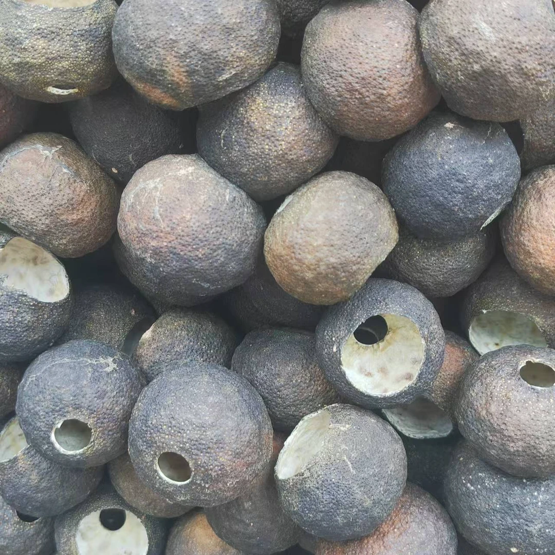 原枝半生晒小青柑壳