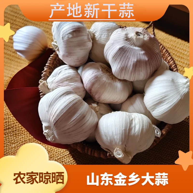蒜坛子2025年正宗山东金乡农家新干蒜  新干蒜5斤 蒜紫白皮 1斤