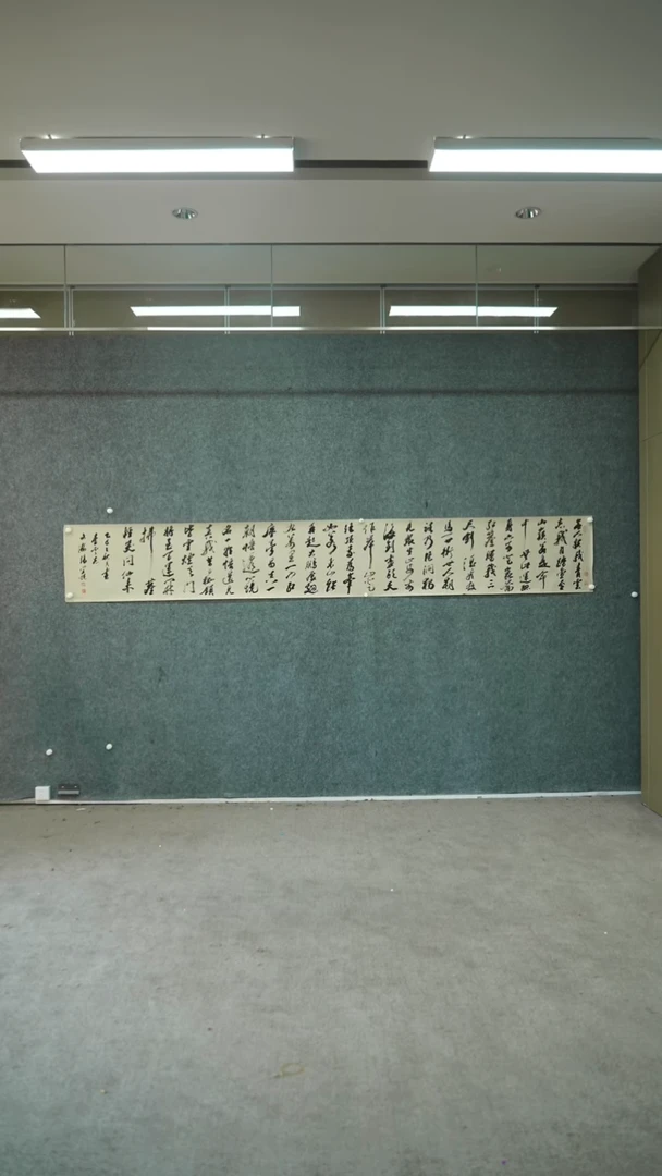 书法书法ZYS老师作品