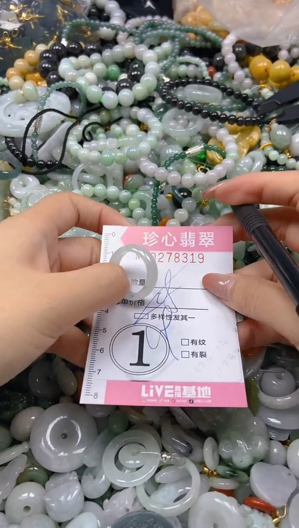翡翠未镶嵌颈饰闪购0278319多样性发其一