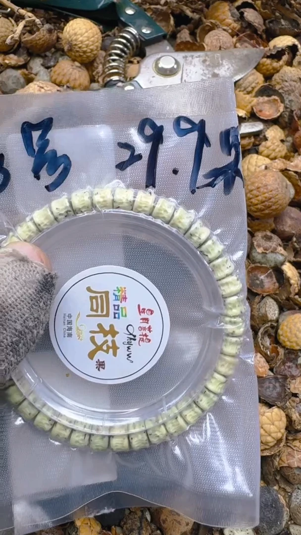 【闪购商品】星月菩提吊坠请客手作精品文玩8