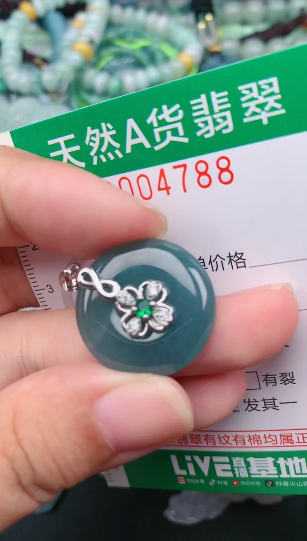 翡翠未镶嵌颈饰.0004788