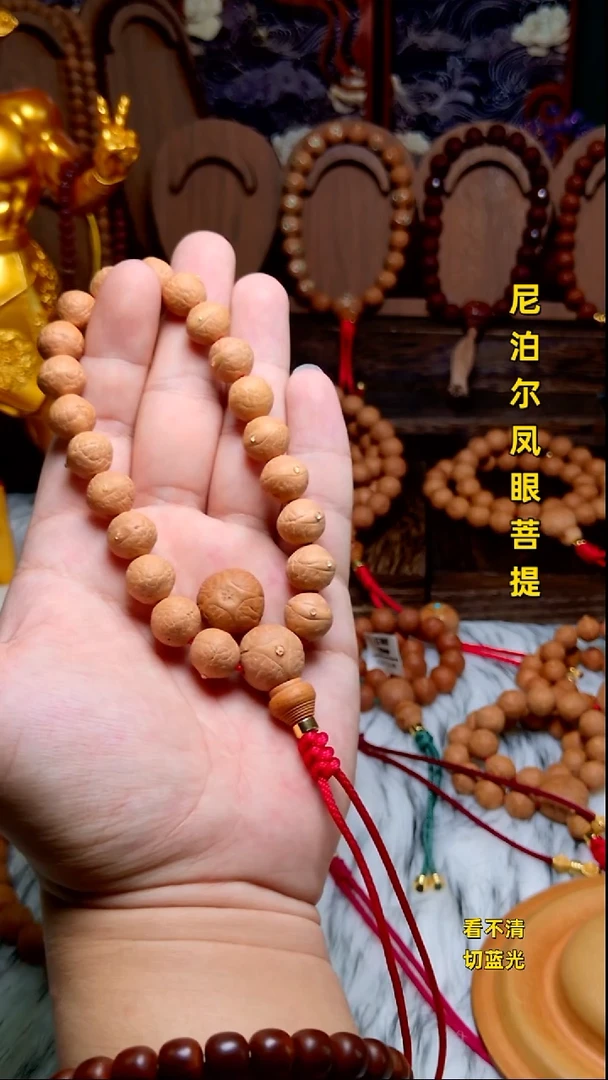 手串凤眼菩提新籽12